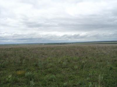 Рязанское агропредприятие оштрафовано из-за сорняка